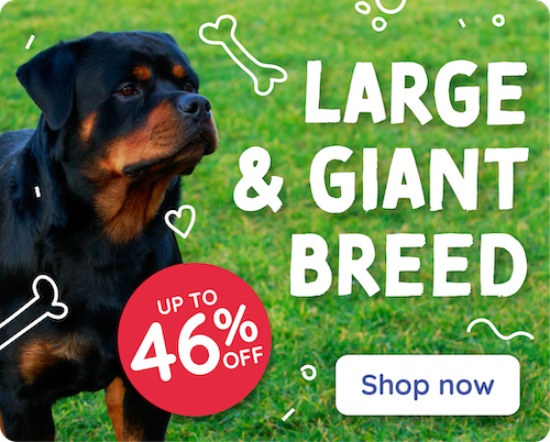 Large Breeds